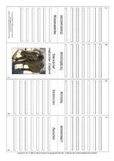 Faltbuch-Indischer-Elefant.pdf